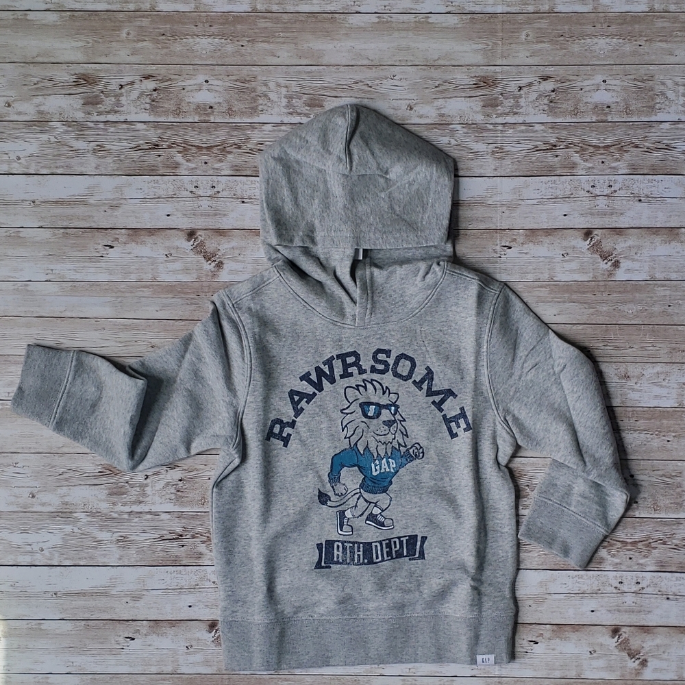 Grey Roarsome Graphic Sweatshirt Hoodie with Lion - Picture 2 of 4
